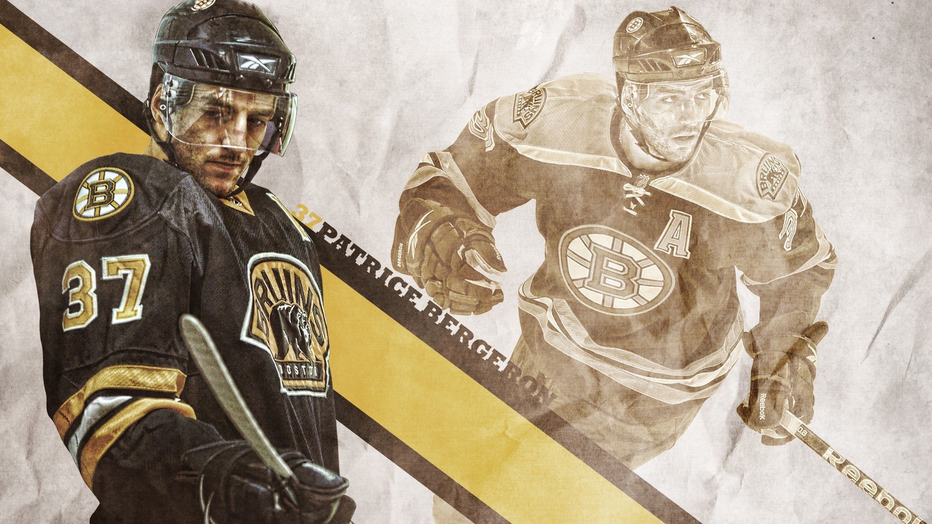 掘金核心举办“宠物慈善赛”，萌宠与篮球同台